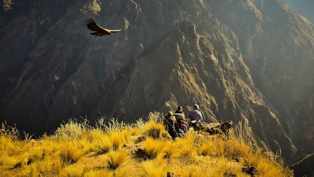 Vignette du programme télé Un écrin de nature - Saison 1