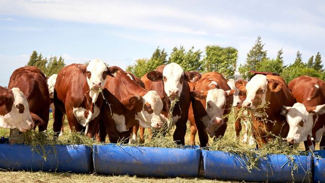 Vignette du programme télé La France en vrai