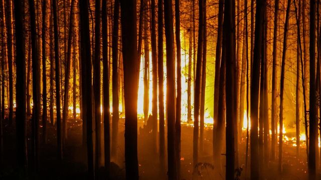 Vignette du programme télé Nature meurtrière - Saison 2