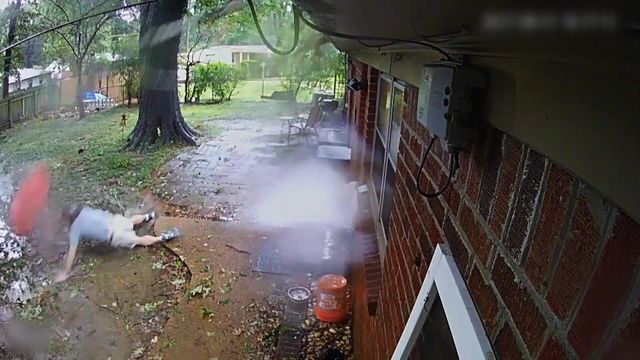 Vignette du programme télé Nature meurtrière - Saison 2