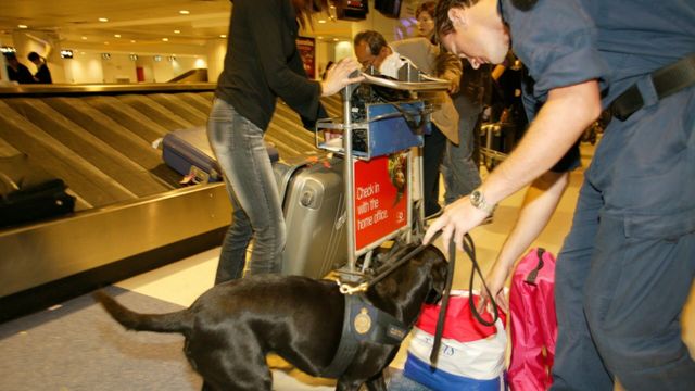 Vignette du programme télé Douanes sous haute surveillance - Saison 7