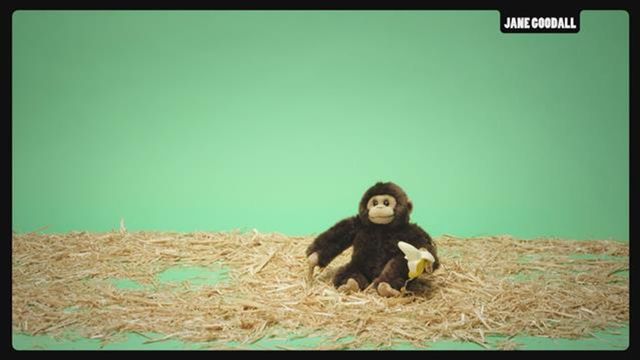 Vignette du programme télé Tout est vrai (ou presque) - Saison 5