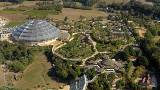 Vignette du programme télé ZooParc de Beauval : au coeur de la machine