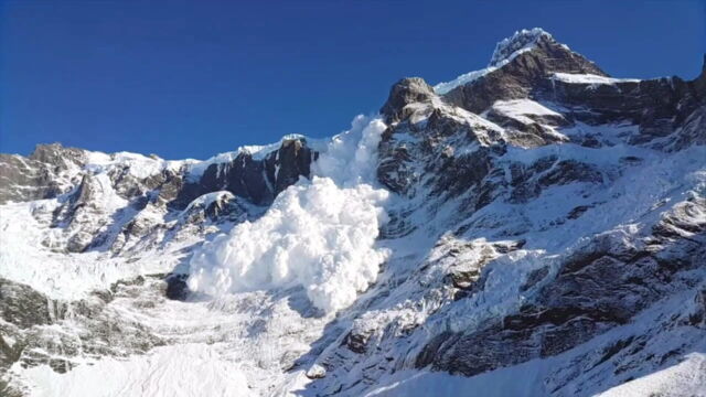 Vignette du programme télé Nature meurtrière