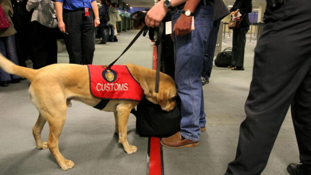 Vignette du programme télé Douanes sous haute surveillance