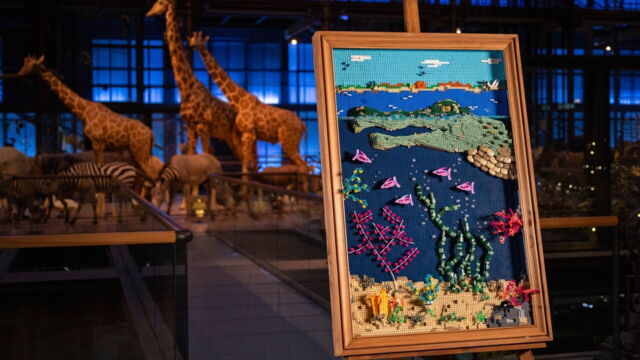 Vignette du programme télé Lego Masters