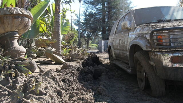 Vignette du programme télé Nature meurtrière