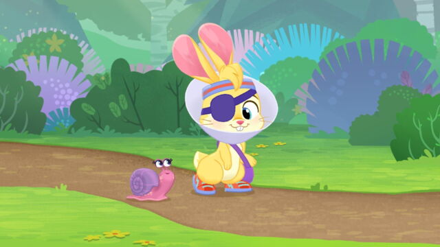 Vignette du programme télé Vida la véto