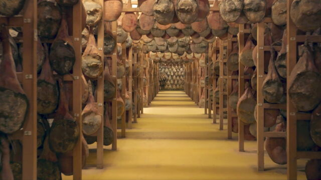 Vignette du programme télé Le Kintoa, roi des cochons basques