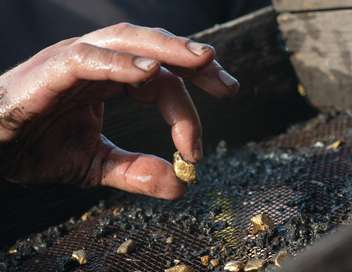 Vignette du programme télé Alaska : la ruée vers l'or