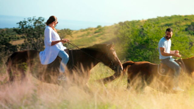Vignette du programme télé Tous à La Réunion !