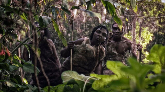 Vignette du programme télé Quand Homo sapiens peupla la planète