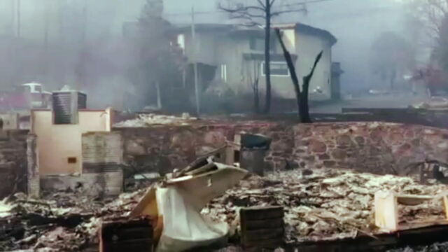 Vignette du programme télé Nature meurtrière