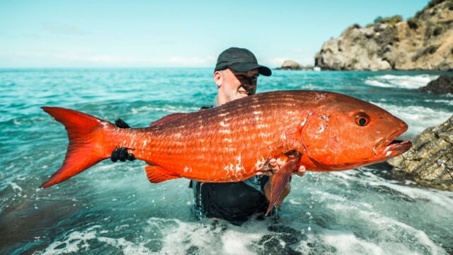 Vignette du programme télé Pêche XXL