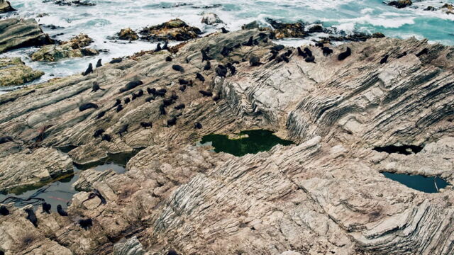Vignette du programme télé Un billet de train pour...