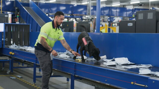 Vignette du programme télé Douanes sous haute surveillance