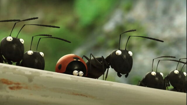 Vignette du programme télé Minuscule : la vallée des fourmis perdues