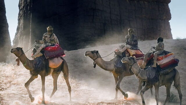 Vignette du programme télé Un écrin de nature dans le Sahara