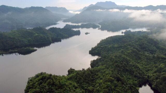 Vignette du programme télé Nouvelle-Zélande : La forêt des géants