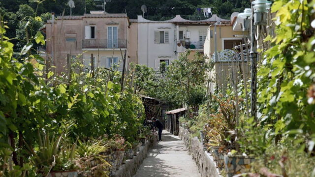 Vignette du programme télé Invitation au voyage
