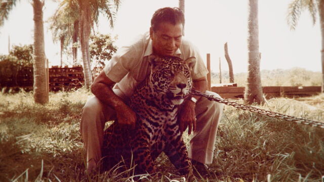 Vignette du programme télé The Nazi Cartel