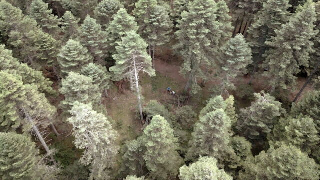 Vignette du programme télé La côte turque de la mer Noire