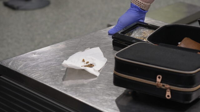 Vignette du programme télé Douanes sous haute surveillance