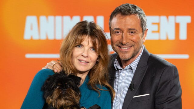 Vignette du programme télé Animalement vôtre