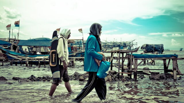 Vignette du programme télé 2050, le monde d'après