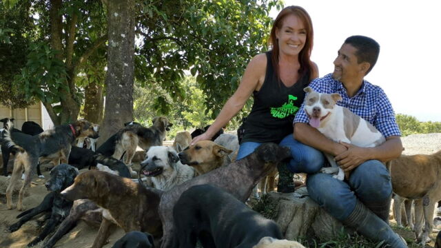 Vignette du programme télé Au Costa Rica, un paradis pour les chiens abandonnés