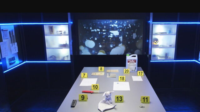 Vignette du programme télé Indices