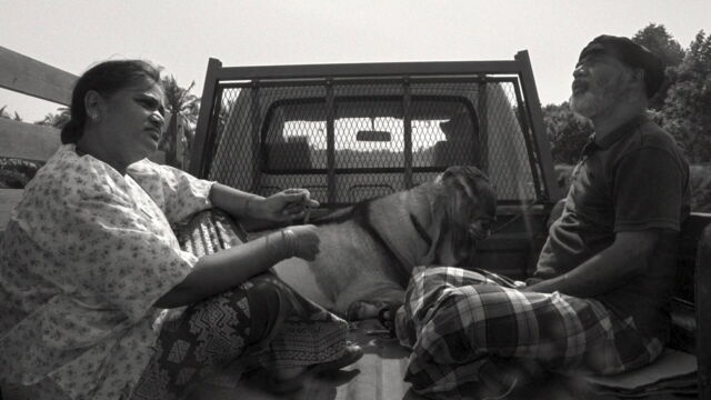 Vignette du programme télé Bêêêê !