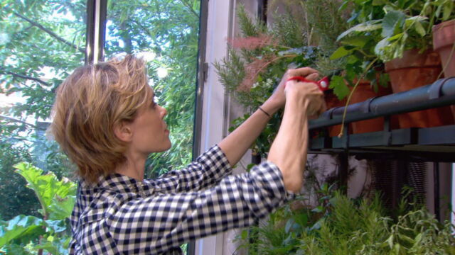 Vignette du programme télé Les carnets de Julie