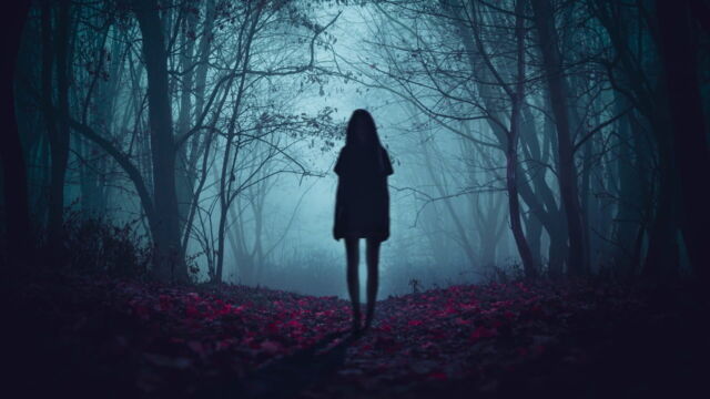 Vignette du programme télé Les traqueurs de fantômes