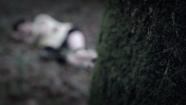 Vignette du programme télé Les visages du crime