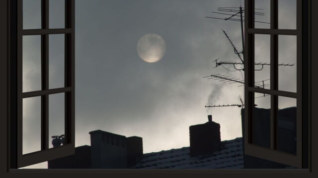 Vignette du programme télé Programmes de la nuit