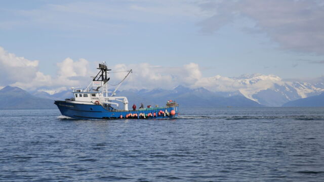 Vignette du programme télé Habitations en péril