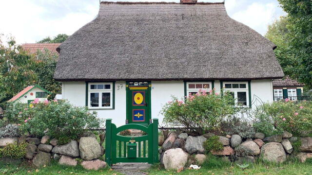 Vignette du programme télé Mer Baltique, voyage au pays des grues cendrées