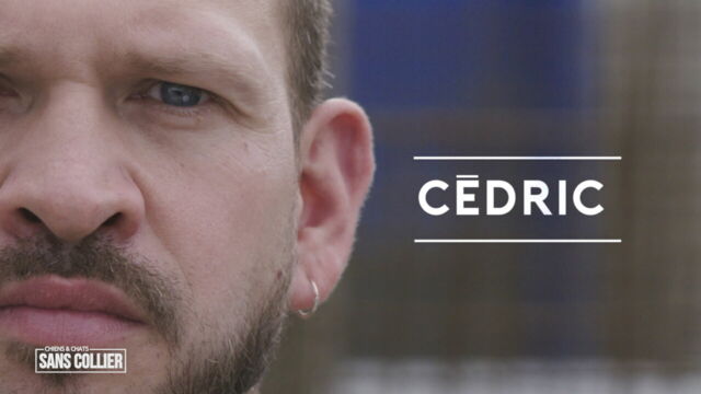 Vignette du programme télé Chiens et chats sans collier