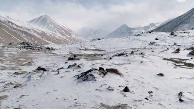 Vignette du programme télé Kirghizistan, espoir pour les panthères des neiges