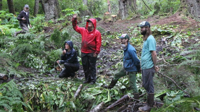 Vignette du programme télé Habitations en péril