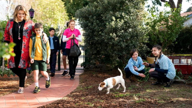 Vignette du programme télé Super détectives !
