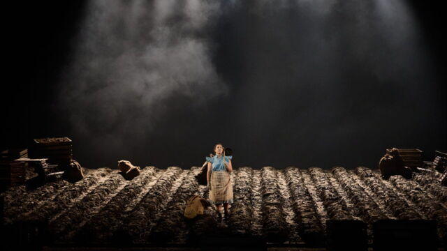 Vignette du programme télé Leevi Madetoja : Les Ostrobothniens