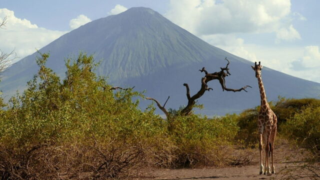 Vignette du programme télé Des volcans et des hommes