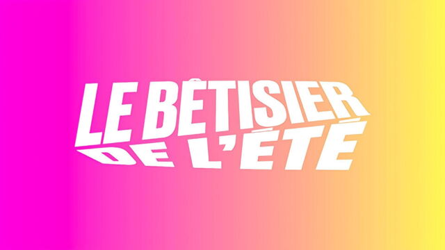 Vignette du programme télé Le bêtisier de l'été