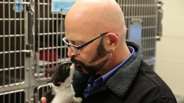 Vignette du programme télé Hell's Cats