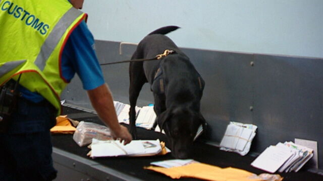 Vignette du programme télé Douanes sous haute surveillance
