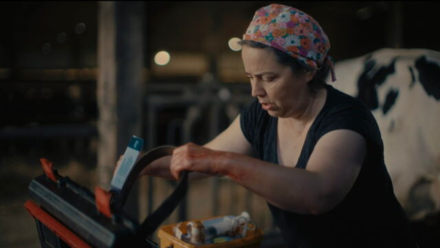 Vignette du programme télé Véto de campagne