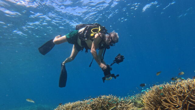Vignette du programme télé Dugong blues, les dernières sirènes de Mayotte