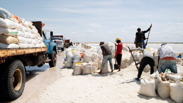 Vignette du programme télé Itinéraires sauvages